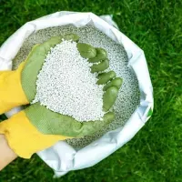 Hands holding fertilizer